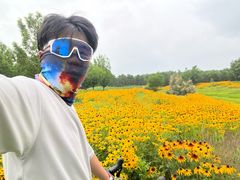 -东郊湿地公园
