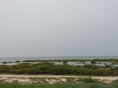 -北海金海湾红树林生态旅游区