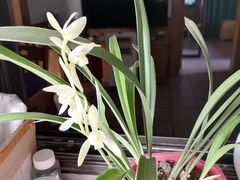 -小八仙·宴(三峡茶庄店)