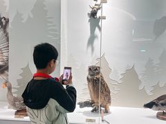 -盐城丹顶鹤湿地生态旅游区