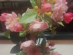 -假装苏杭·迎春花与梅(陆家嘴中心店)