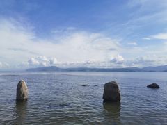 -洱海月湿地公园