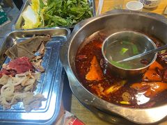 -金鼎雪山牦牛杂火锅(理县总店)