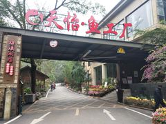 门面-天怡·鱼工厂(梅溪湖店)