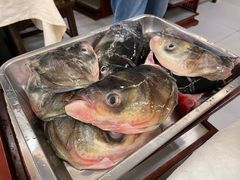 -冯鱼头火锅(青蓝山美食一条街店)