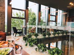 -了不起的考拉咖啡店(高新店)