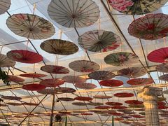 -广东花都香草世界旅游度假区