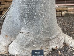 -北京植物园-展览温室