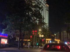 -惠州康帝国际酒店