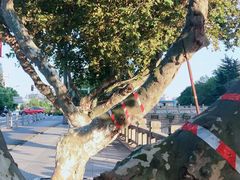 -毛华美食(清扬路店)