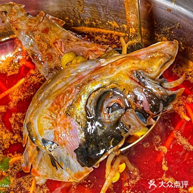 在深圳！！这家田鸡火锅我能吃一辈子！嘎嘎香