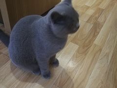 -壹人壹像工作室(购物公园店)
