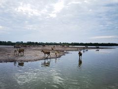-宁波杭州湾国家湿地公园