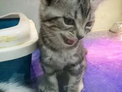 -乐宠宠物店(世纪金源店)