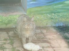 -青藏高原野生动物园