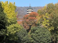 -灵谷景区