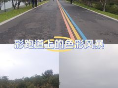 -羊山湖公园