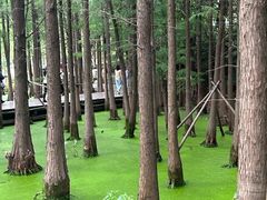 -云龙湖旅游景区