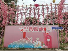 -北京凤凰岭