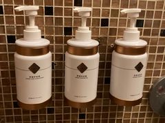 -丽思卡尔顿酒店泳池(金融街店)