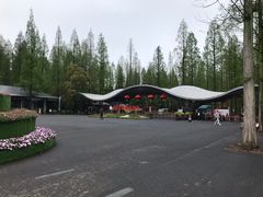 -东平国家森林公园