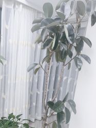 -HEYAN荷妍专业脱毛连锁机构