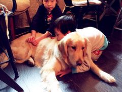 魔王们与六六-百好乐宠物友好餐厅(朝外大街店)