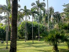 -中国科学院西双版纳热带植物园