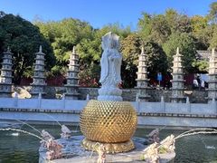 -泰山风景名胜区-普照寺