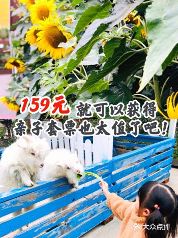 159元就可以获得亲子套票也太值了吧!