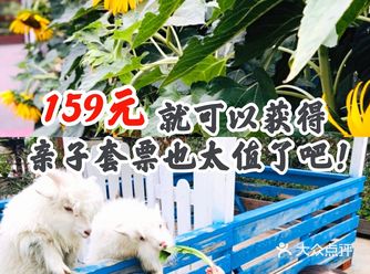 159元就可以获得亲子套票也太值了吧！