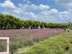 -广东花都香草世界旅游度假区