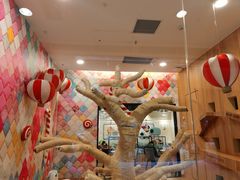 -袖虎·猫馆(体育西路店)