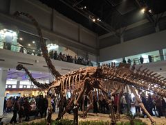 -自贡恐龙博物馆