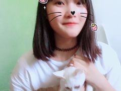 -猫猫幼稚园·撸猫·桌游·电玩