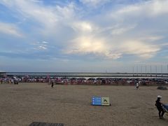 -碧海金沙