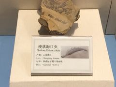 -辽宁古生物博物馆