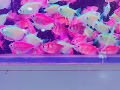 -三旗百汇商品城