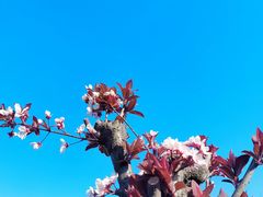 -幕燕滨江·燕子矶公园