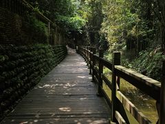 -凤栖山