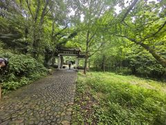 -五泄景区