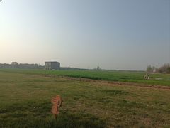 -瀛海足球主题公园