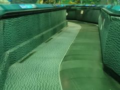 -上海海洋水族馆