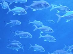 -波塞冬旅游度假区