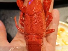 -肥肥虾庄·金牌油焖大虾(杨园滨江时代walk店)