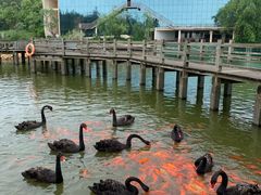 -鄱阳湖国家湿地公园