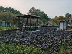 -洪湖家庭农场·团建·露营·会议