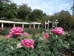 -人民公园(罗湖区)