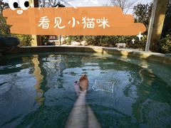 -仁爱团泊湖温泉中心