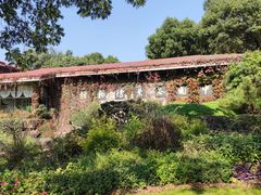-中国茶叶博物馆(双峰馆区)